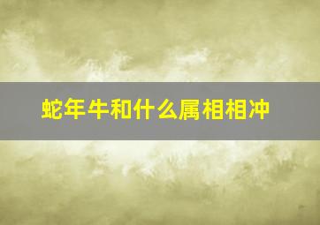 蛇年牛和什么属相相冲