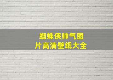 蜘蛛侠帅气图片高清壁纸大全