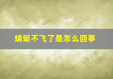 蜻蜓不飞了是怎么回事