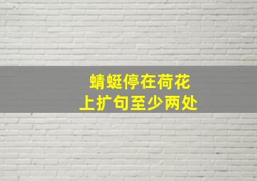 蜻蜓停在荷花上扩句至少两处