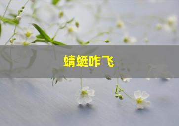 蜻蜓咋飞