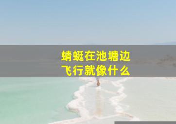 蜻蜓在池塘边飞行就像什么