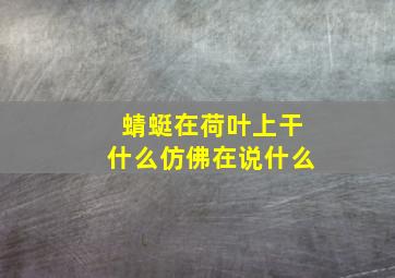 蜻蜓在荷叶上干什么仿佛在说什么