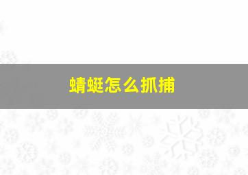 蜻蜓怎么抓捕