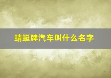 蜻蜓牌汽车叫什么名字