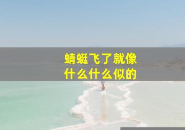 蜻蜓飞了就像什么什么似的