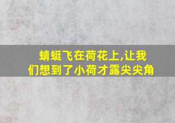 蜻蜓飞在荷花上,让我们想到了小荷才露尖尖角