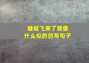 蜻蜓飞来了就像什么似的仿写句子