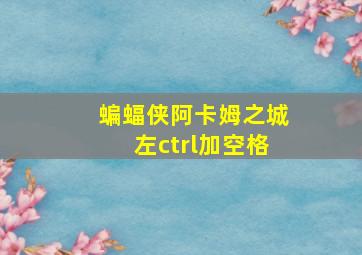 蝙蝠侠阿卡姆之城左ctrl加空格