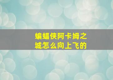 蝙蝠侠阿卡姆之城怎么向上飞的