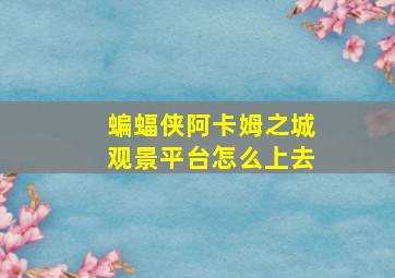 蝙蝠侠阿卡姆之城观景平台怎么上去