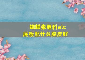 蝴蝶张继科alc底板配什么胶皮好