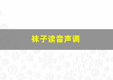 袜子读音声调