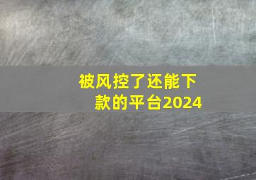 被风控了还能下款的平台2024