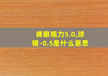 裸眼视力5.0,球镜-0.5是什么意思