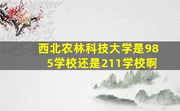 西北农林科技大学是985学校还是211学校啊