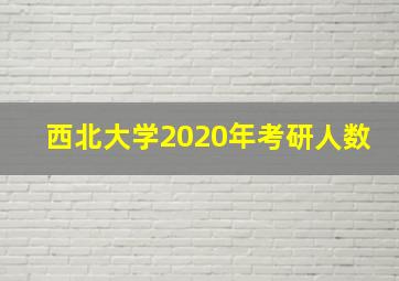 西北大学2020年考研人数