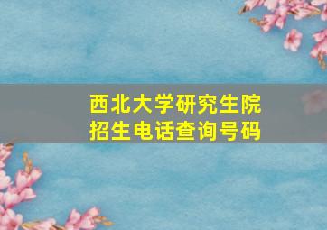 西北大学研究生院招生电话查询号码