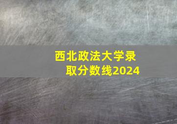 西北政法大学录取分数线2024