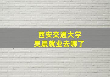 西安交通大学吴晨就业去哪了