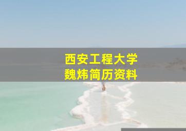 西安工程大学魏炜简历资料