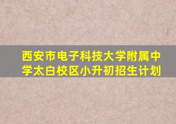 西安市电子科技大学附属中学太白校区小升初招生计划