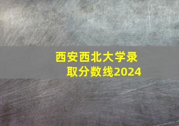 西安西北大学录取分数线2024