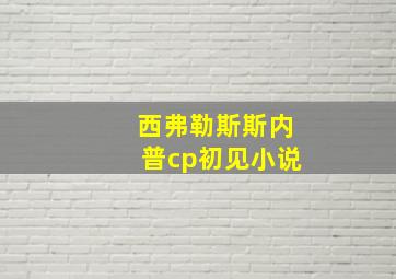 西弗勒斯斯内普cp初见小说