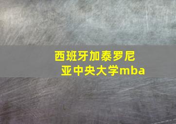 西班牙加泰罗尼亚中央大学mba