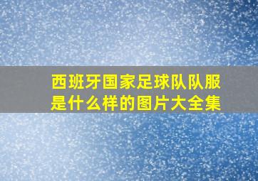 西班牙国家足球队队服是什么样的图片大全集