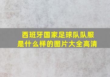 西班牙国家足球队队服是什么样的图片大全高清