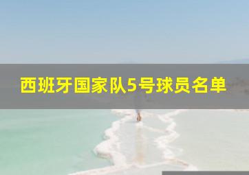 西班牙国家队5号球员名单