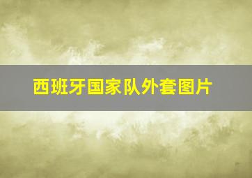 西班牙国家队外套图片