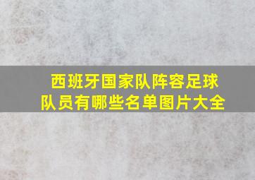 西班牙国家队阵容足球队员有哪些名单图片大全