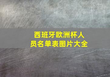 西班牙欧洲杯人员名单表图片大全