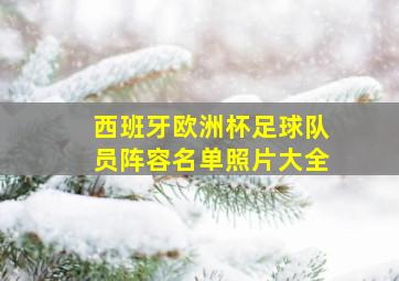 西班牙欧洲杯足球队员阵容名单照片大全