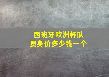 西班牙欧洲杯队员身价多少钱一个