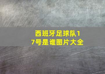 西班牙足球队17号是谁图片大全