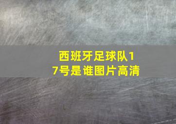 西班牙足球队17号是谁图片高清