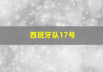 西班牙队17号