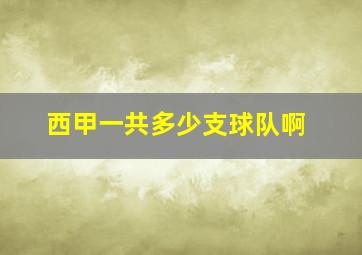 西甲一共多少支球队啊