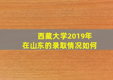 西藏大学2019年在山东的录取情况如何