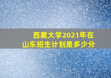 西藏大学2021年在山东招生计划是多少分