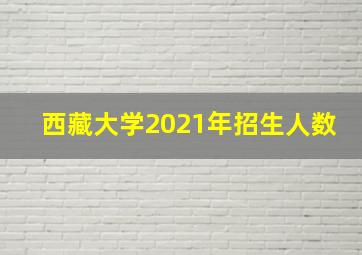 西藏大学2021年招生人数