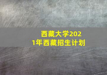 西藏大学2021年西藏招生计划