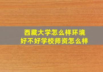 西藏大学怎么样环境好不好学校师资怎么样