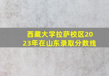 西藏大学拉萨校区2023年在山东录取分数线