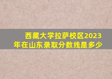 西藏大学拉萨校区2023年在山东录取分数线是多少