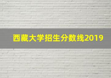 西藏大学招生分数线2019