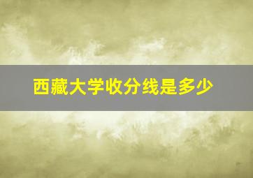 西藏大学收分线是多少